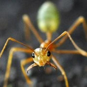 Angela Heine's photo
