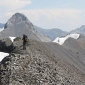 Michael Murray's photo