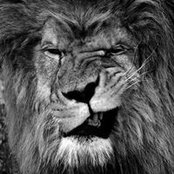 Michael Brown's photo