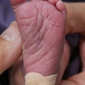 Kevin Hussey's photo