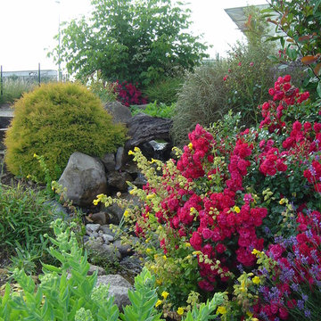 PAYSAGE
