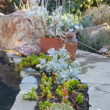 John's Garden Sanctuary