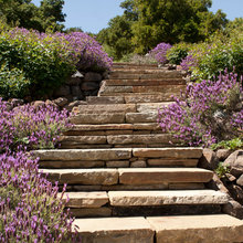 HILLSIDE IDEAS