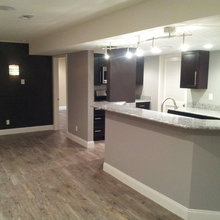 Basement Kitchen/bar Area