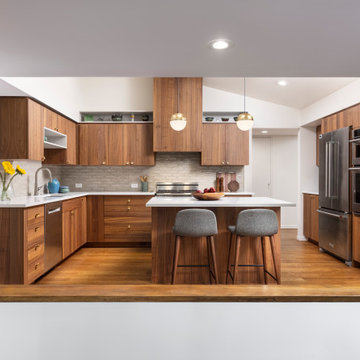 Cohesive Mid-Century Modern Interior Remodel in Ann Arbor, Michigan