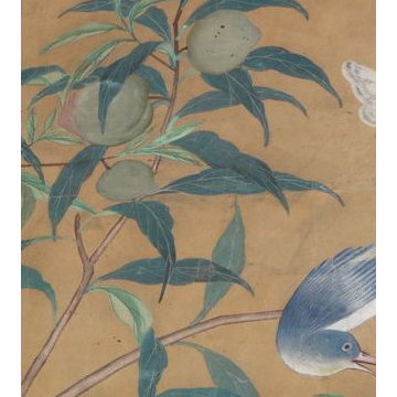 hand painted wallpaper Birds and flower panoramic design