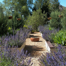 Frontyard For Robbie