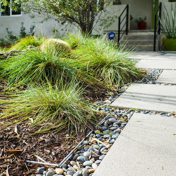 2016 Native Plant Garden Tour