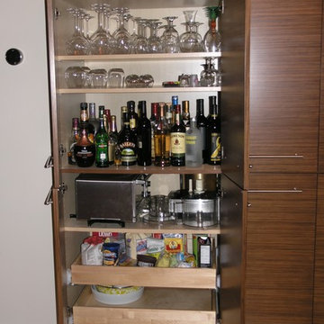 Contemporary Zebrawood Kitchen