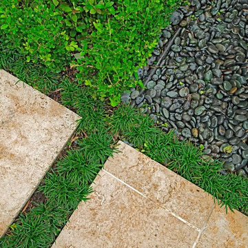 Heavenly Hardscape