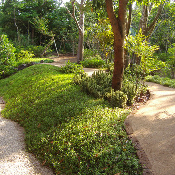 周囲の自然を残した庭～外房～