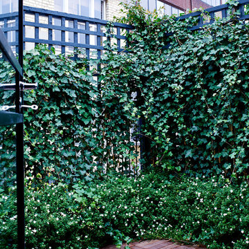 Anna Owens Designs - Eaton Row Project