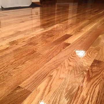 Elk Grove Village Water Damage Hardwood Floor