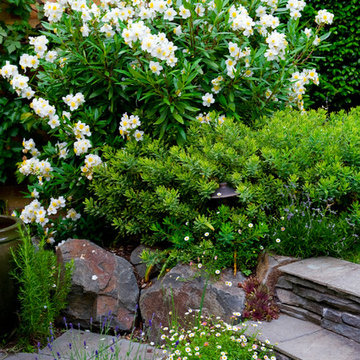 Outdoor Living