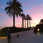 Colette Sandberg's photo