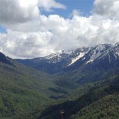 Лариса Муратова's photo