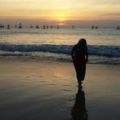 Stephanie Elickus's photo