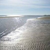 Brenda DeWitt's photo