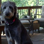 Marjorie Vohs's photo