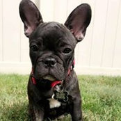 Pattie Gee's photo