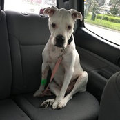 Melissa Hughey's photo