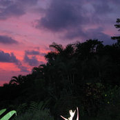 Brenda Brown's photo