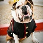 Michael Tobey's photo
