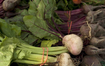 Cool-Season Vegetables: How to Grow Beets