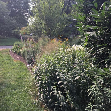 Side Yard Garden | Falls Church City VA