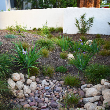 California Native Storybook Garden