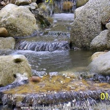 Best of www.socalpondpros.com