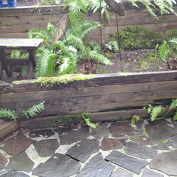 Garden Rebuild - Before