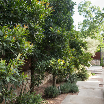 central austin residence