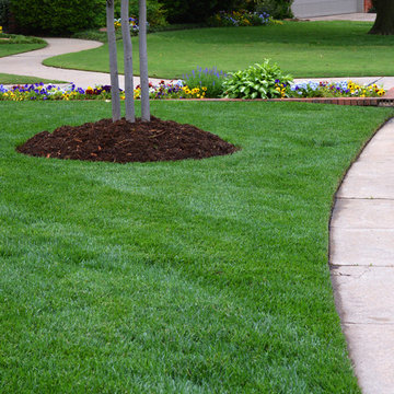 Norman, OK Landscaping Renovation
