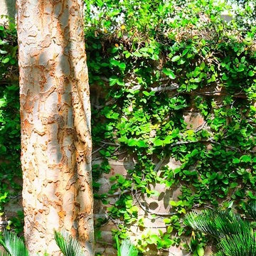 Courtyard Facelift