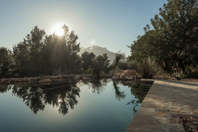 Mediterraner Pool in Palma de Mallorca