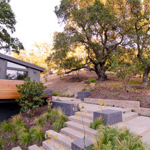 Elevation Areas