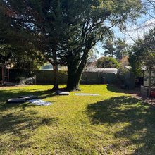 Smith Street Garden In Different Seasons