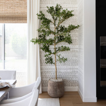 Queen Creek AZ Modern Organic Luxe