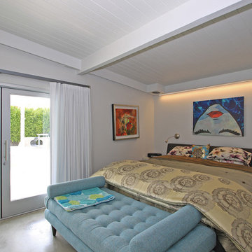 Classic Alexander Modern Palm Springs Beauty