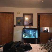 my