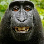 Allan Hansen's photo