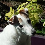 Jill Ostendorff's photo