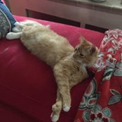 Foto de Ann Appa
