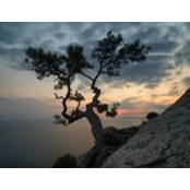 Михаил Кузьминский's photo