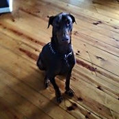 Christopher Johnston's photo
