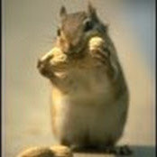 Lauren Ventola's photo
