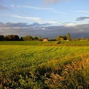 Carolyn Gavsie's photo