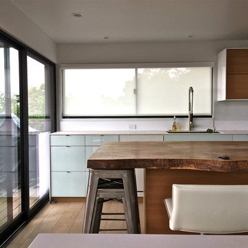 Designer Roller Shades