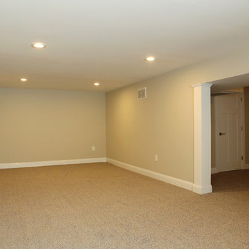 Full renovation/remodel